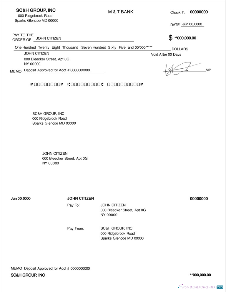 Download USA Maryland SC&H Group Management consulting services company Photoshop template